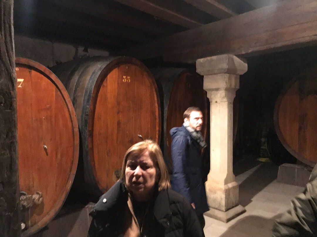Domaine Armand Gilg景点图片
