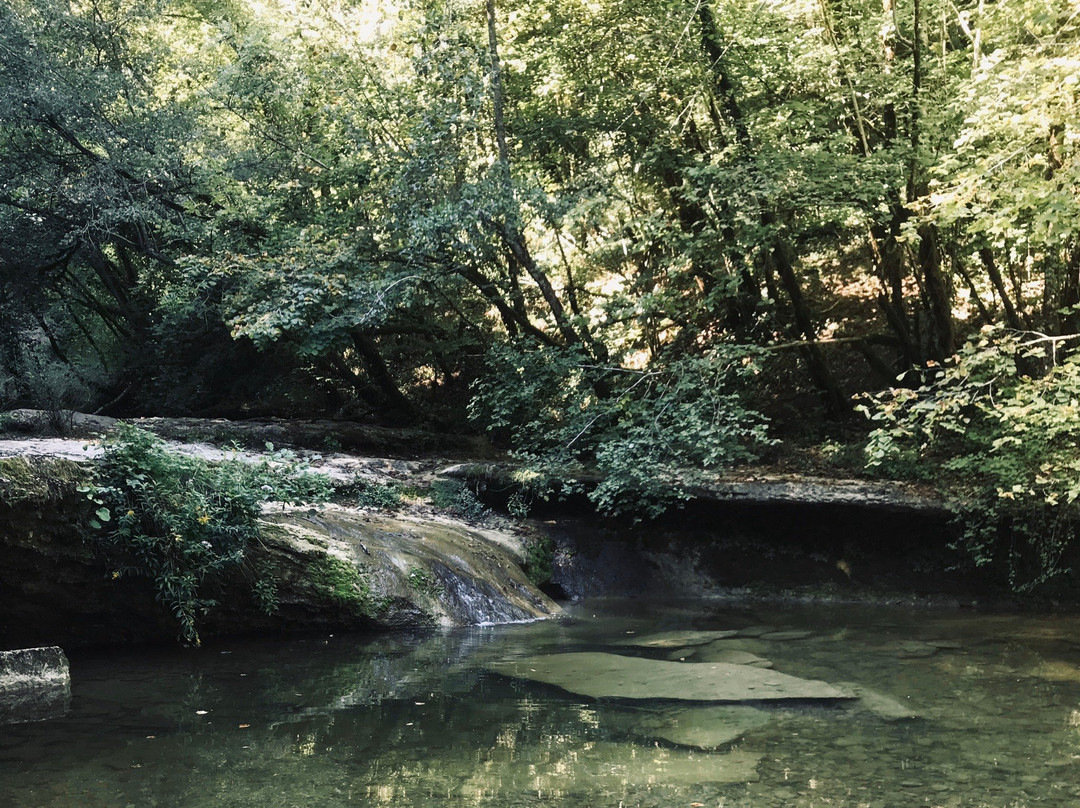 Cascade du Pain de Sucre景点图片