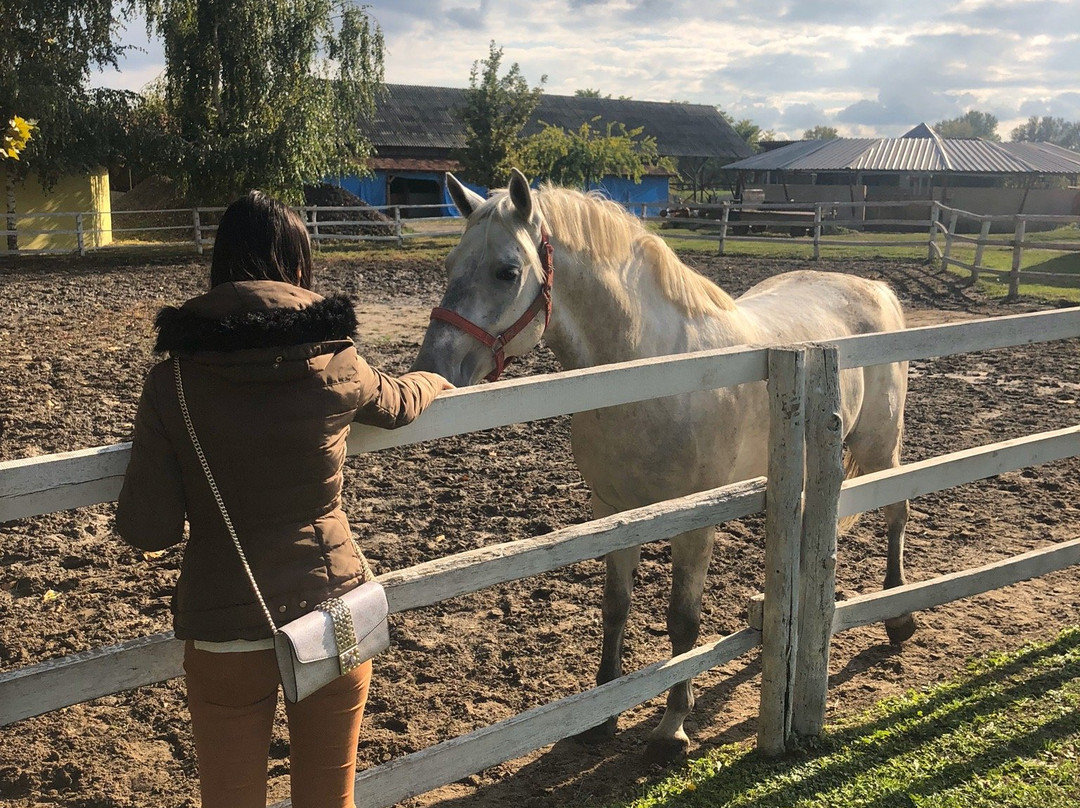 Hotel Villa Majur主图