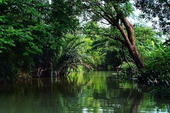 Exceptional Mekong Eco Tour-芹苴必去景点