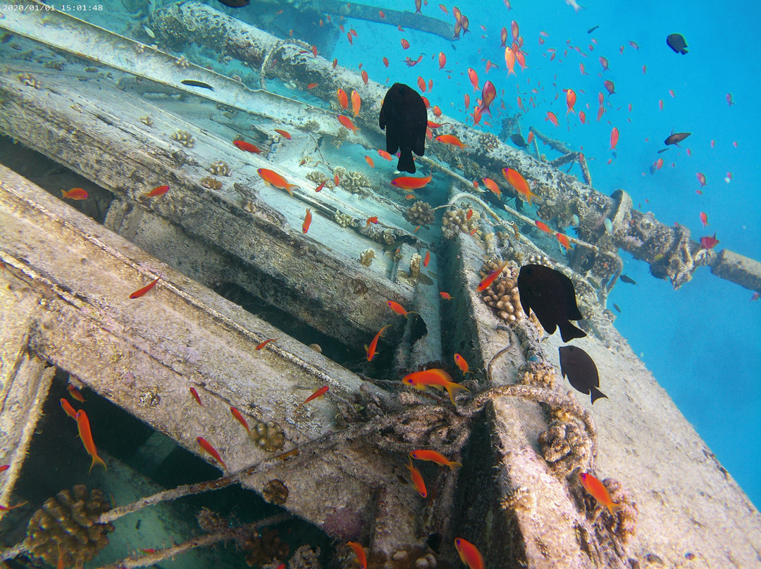 Jupiter Sunrise Lodge主图