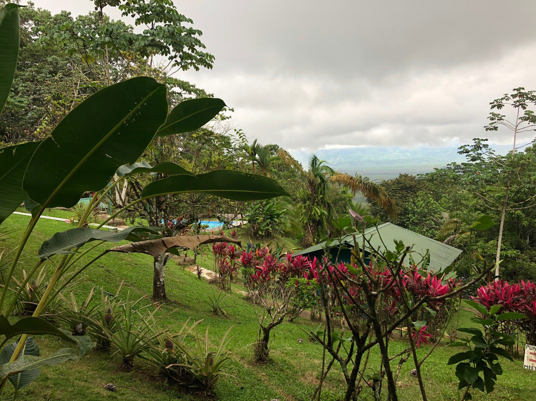 奥萨凉亭山林小屋主图