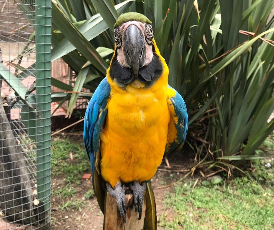 Parque de las Aves Agroflori-科恰班巴必去景点