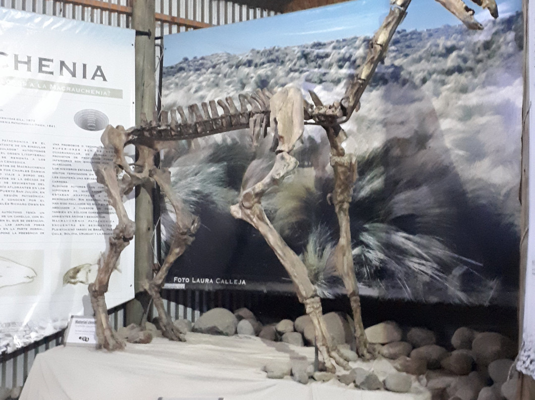 El Calafate Historical Interpretation Center-埃尔卡拉法特必去景点