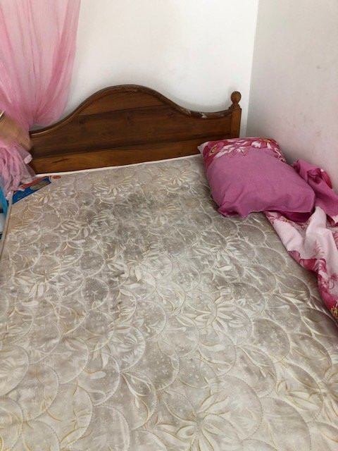 Jayanthi Surf Dreams主图