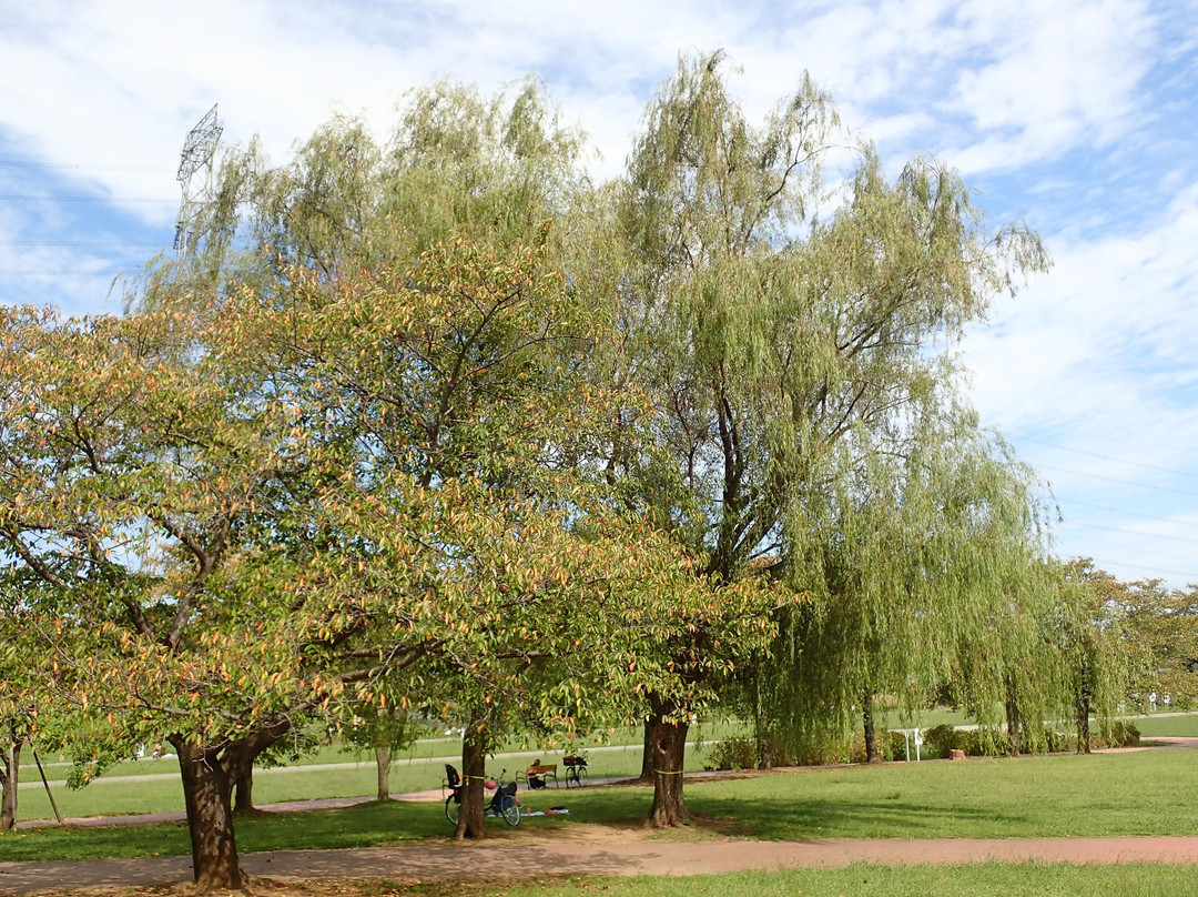 Kashiwafurusato Park-柏市必去景点