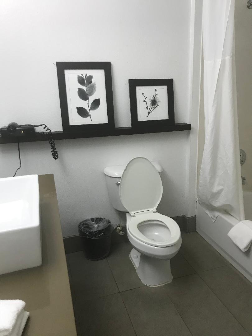 Country Inn & Suites by Radisson, Richmond I-95 South, VA-浴室