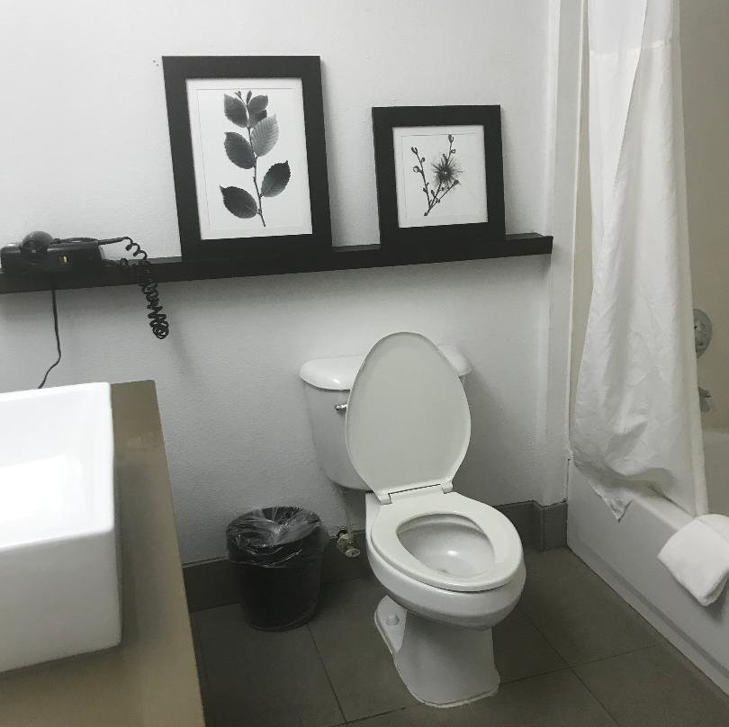 Country Inn & Suites by Radisson, Richmond I-95 South, VA主图