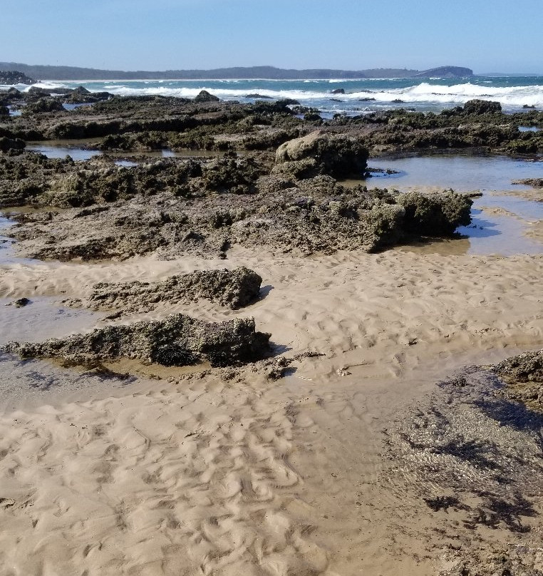 Pilot Beach-Camden Head必去景点