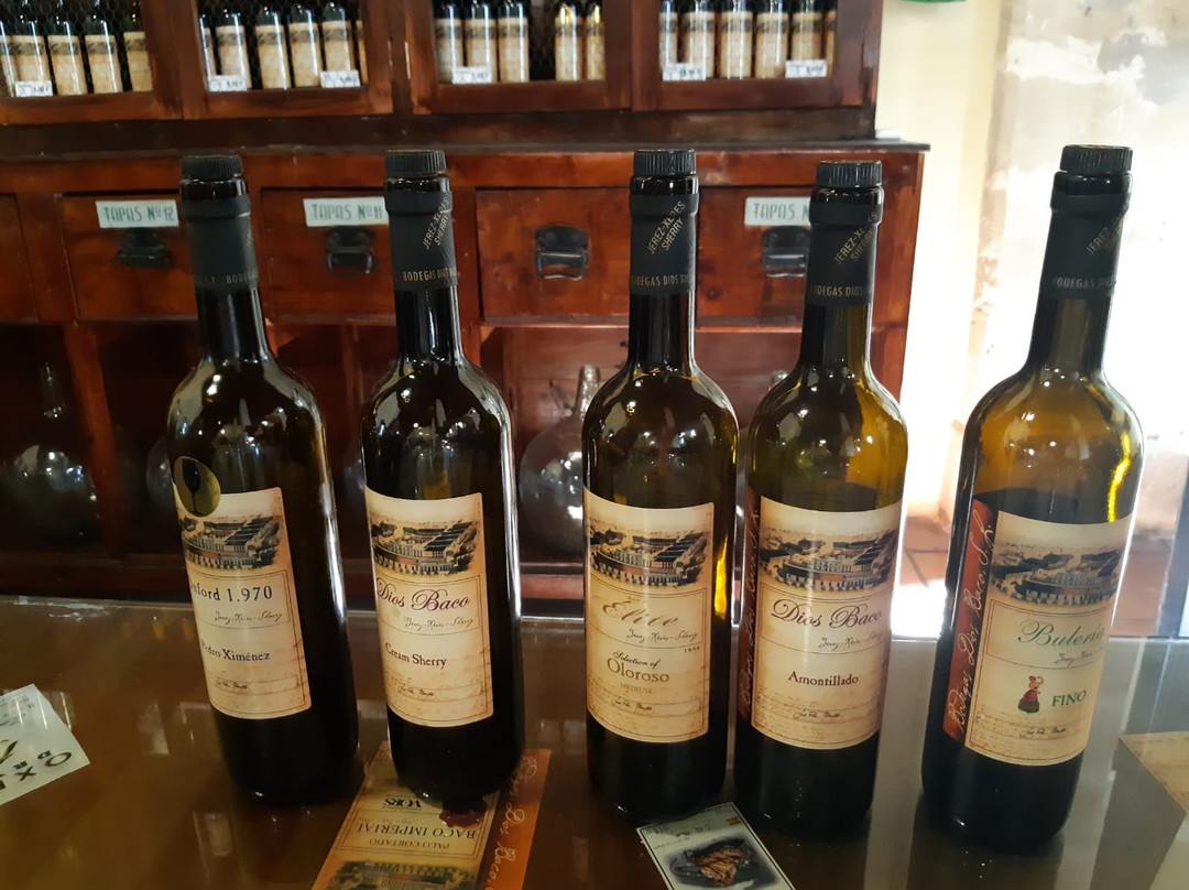 Bodegas Dios Baco-赫雷斯德拉弗隆特拉必去景点