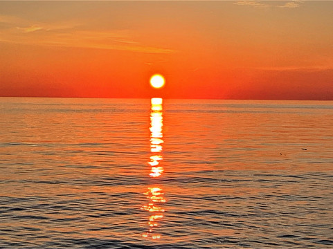 Webster Park-Webster必去景点