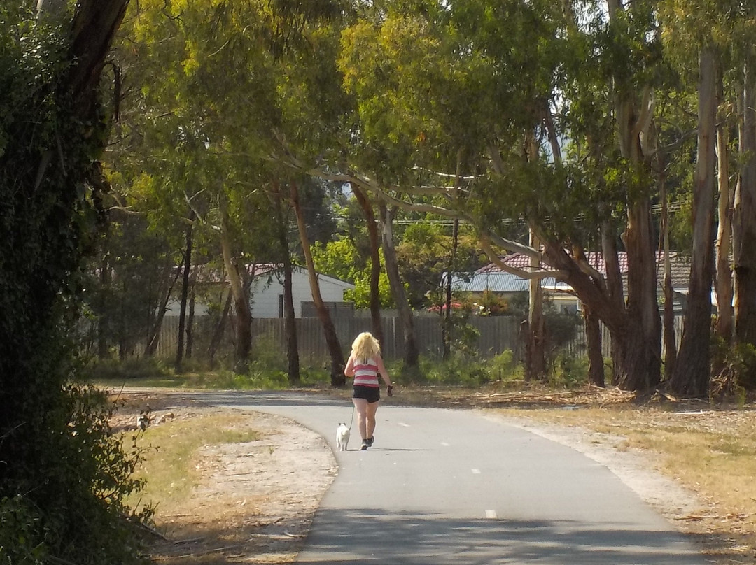 Dandenong Creek Trail-格伦韦弗利必去景点