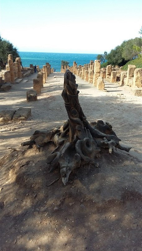 Tipasa Archaeological Park景点图片