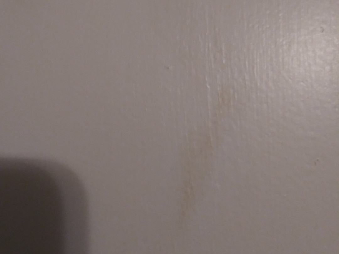 枫叶汽车旅馆主图