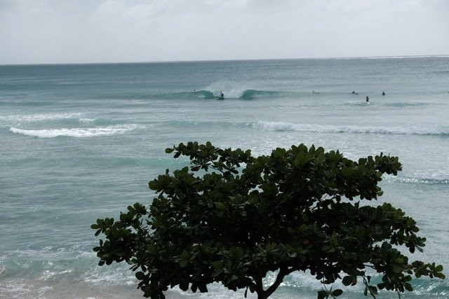 Barbados Surf Trips-基督城必去景点