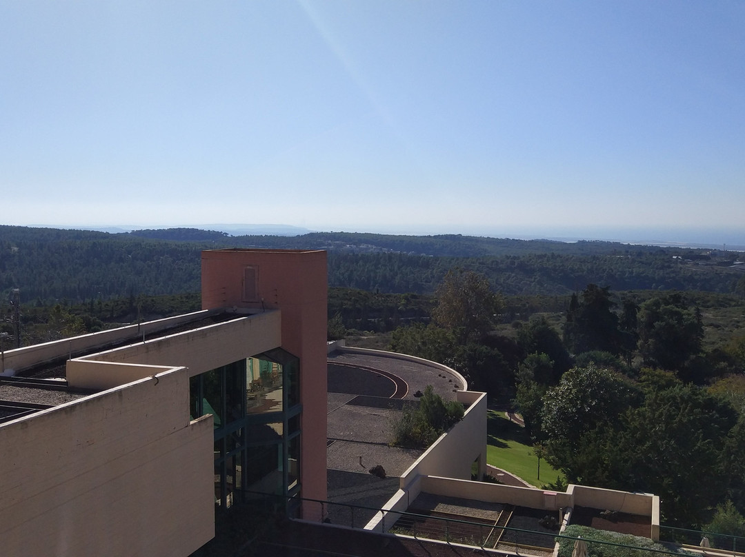 Carmel Forest by Isrotel Exclusive主图