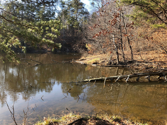 Jefferson Memorial Forest-Fairdale必去景点