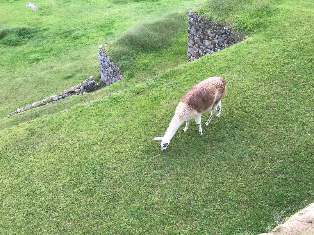 Sayacmarca-马丘比丘必去景点