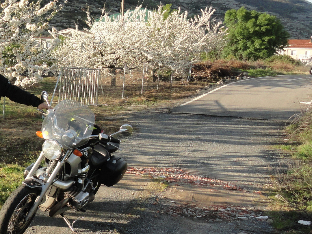 Hotel Los Arenales主图