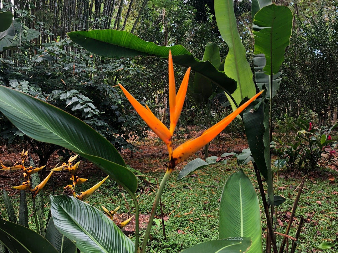 Naturalmente B&B Boutique Bungalows主图