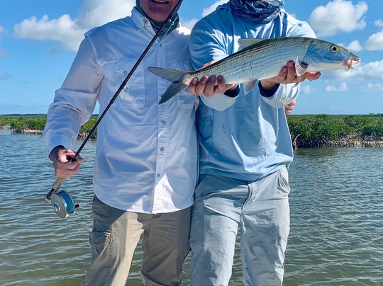 Bonefish Unlimited-普罗维登西亚莱斯必去景点