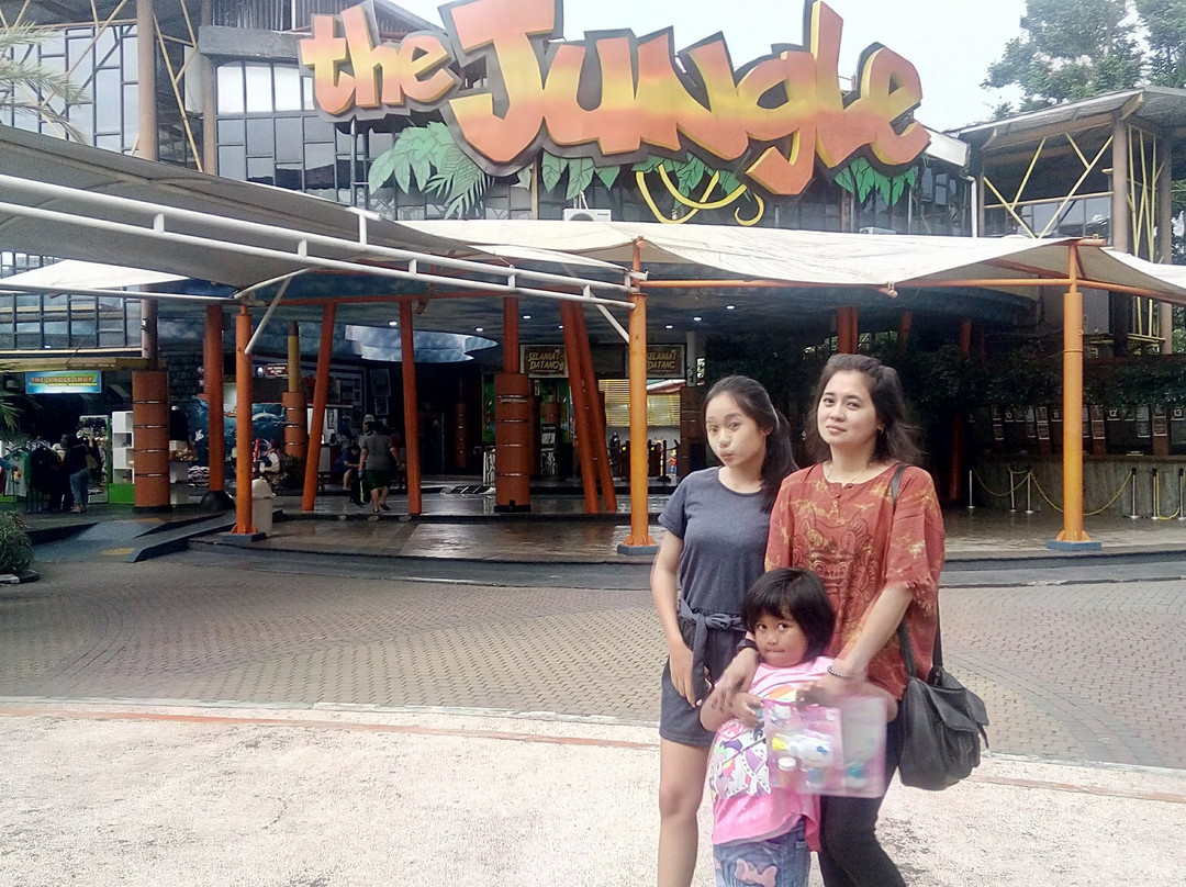 The Jungle Waterpark-茂物必去景点