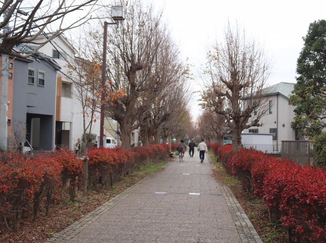 Ichinomiya Pedestrian Path-寒川町必去景点