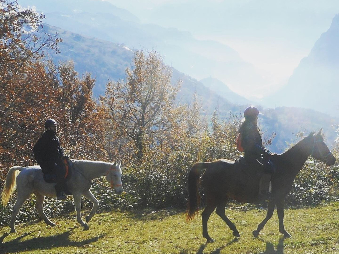 Cavallo e Natura景点图片