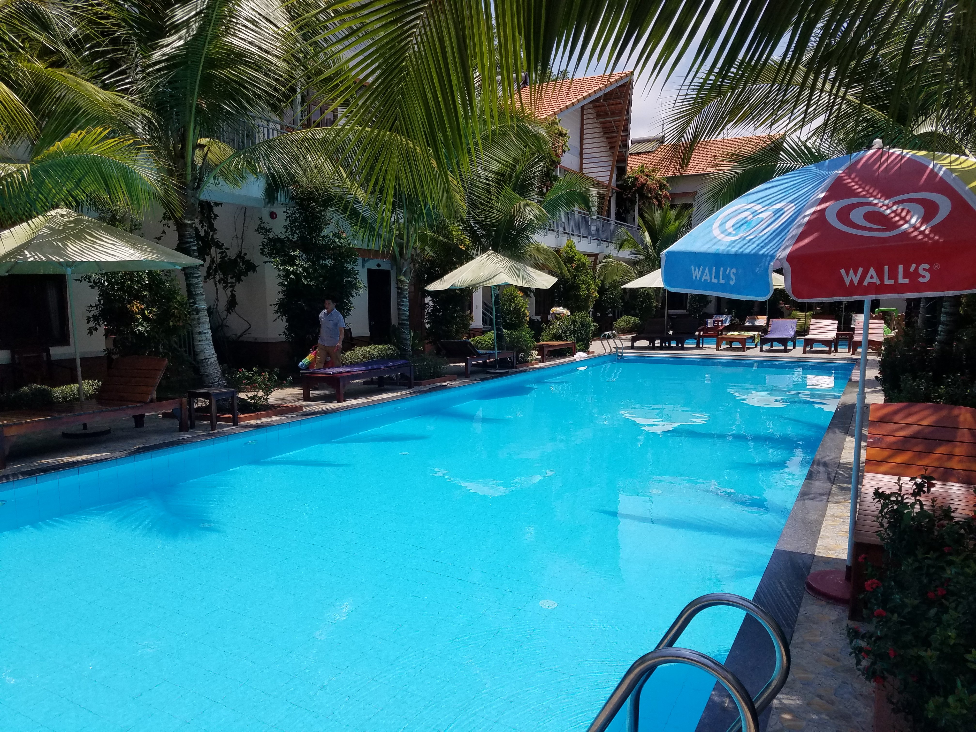 Camellia Resort & Spa-泳池