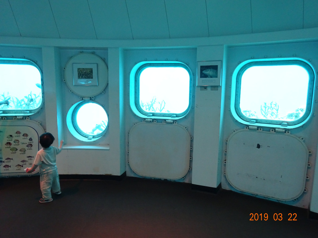 Fish Eye Underwater Observatory-Piti必去景点