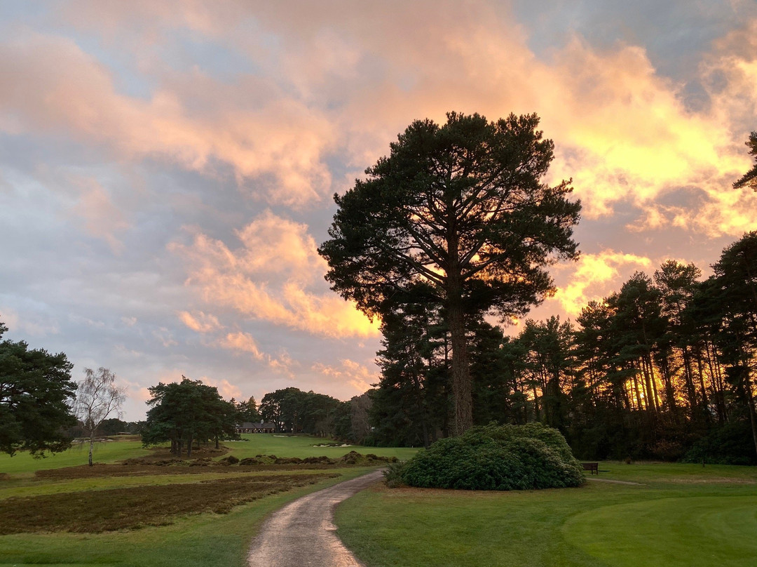 Ferndown Golf Club景点图片