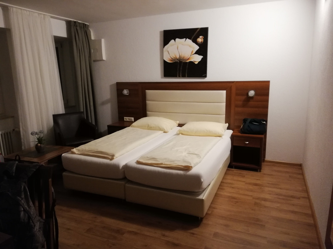 Hotel Zum Ziel主图