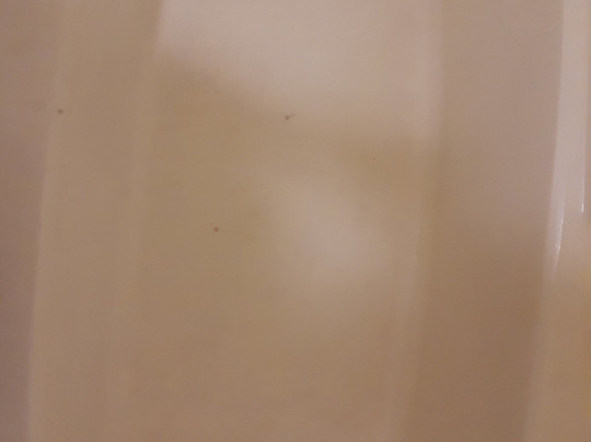 Days Inn by Wyndham Greensboro NC主图