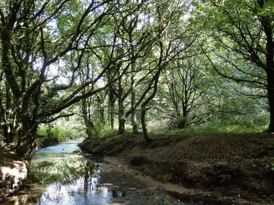 Rivacre Valley Nature Reserve-埃尔斯米尔港必去景点