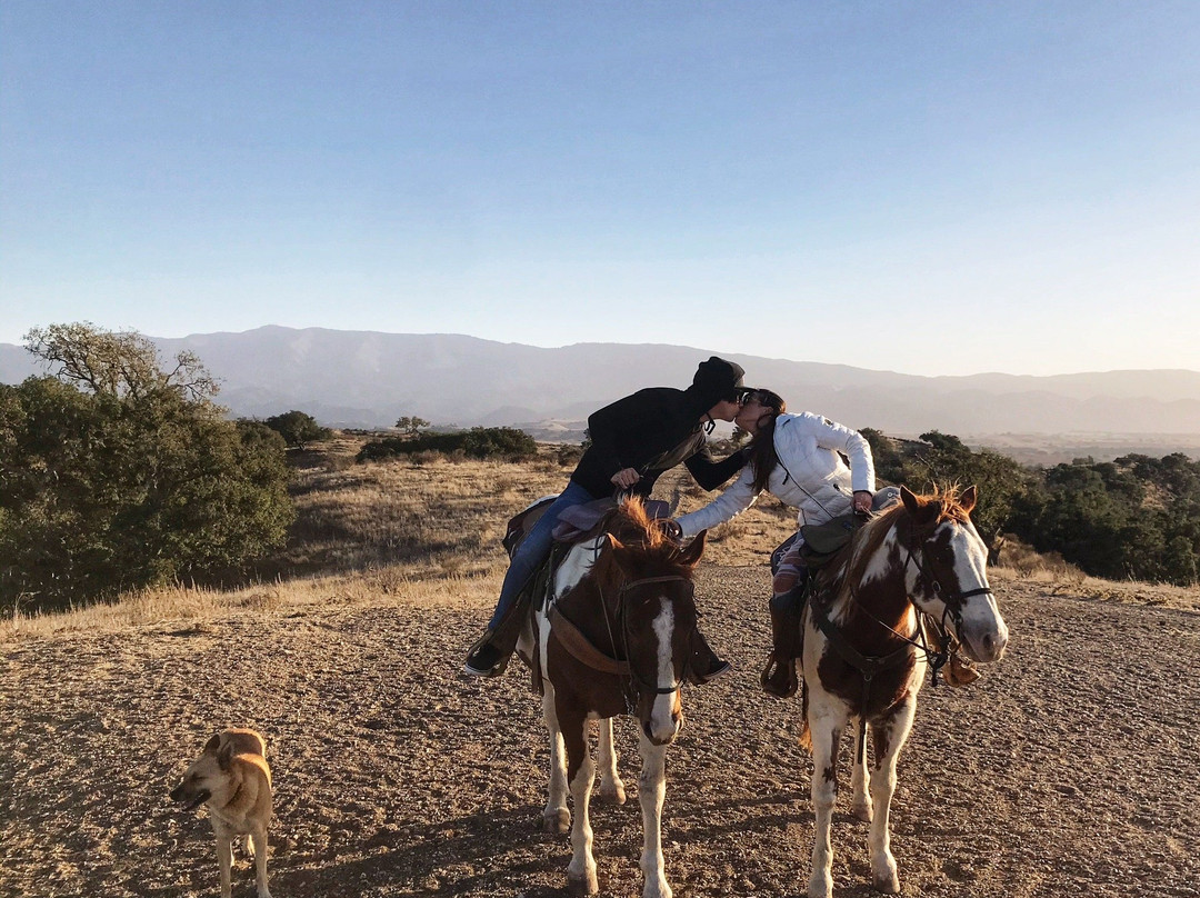 Vino Vaqueros Horseback Riding景点图片