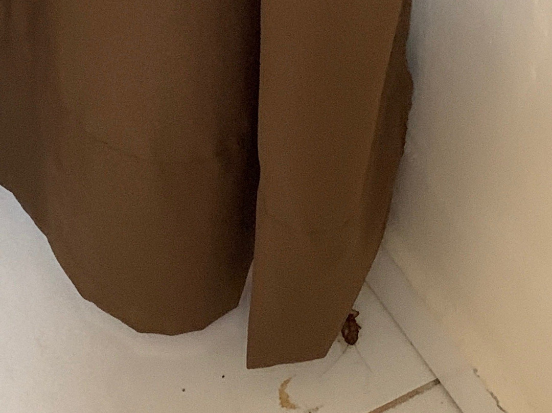 Pousada Aguas do Pirui主图