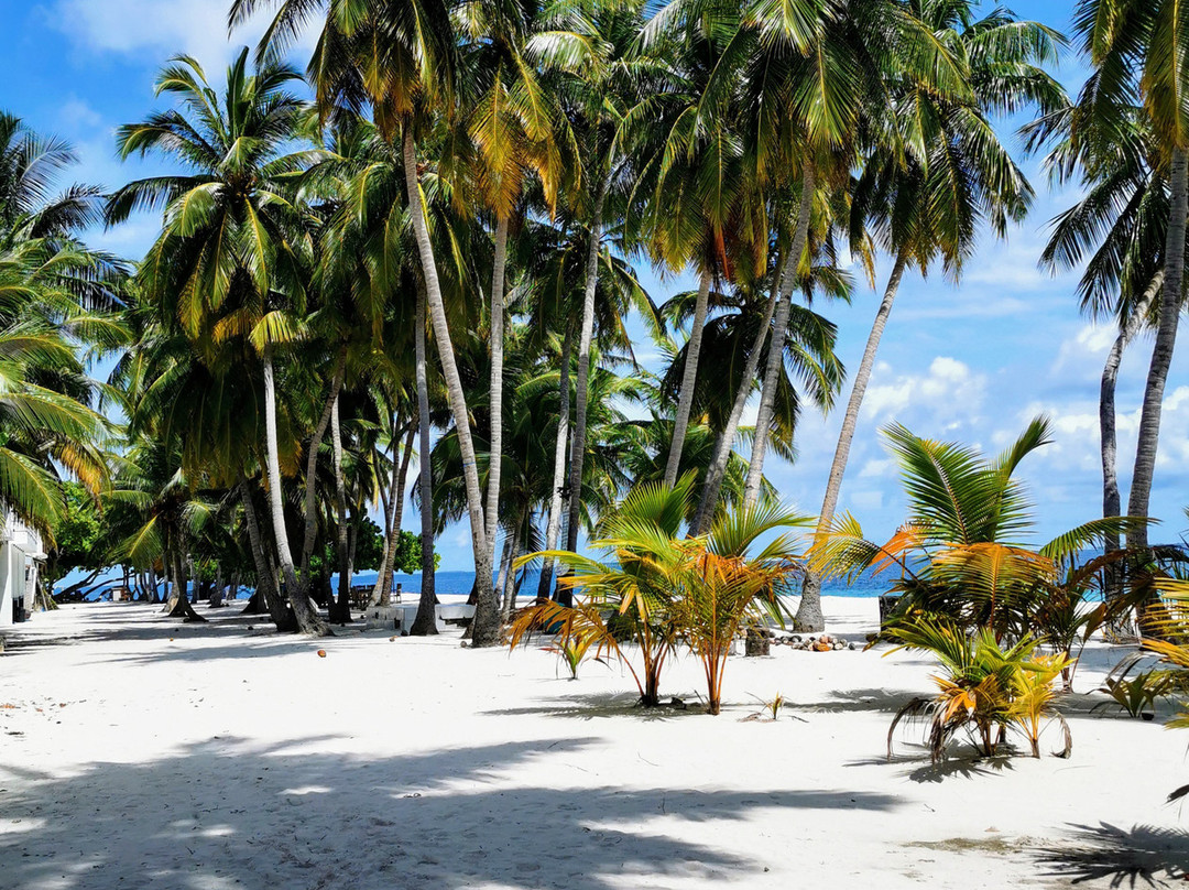 Maclura Residence主图