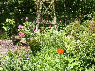 Franklin House-朗塞斯顿必去景点