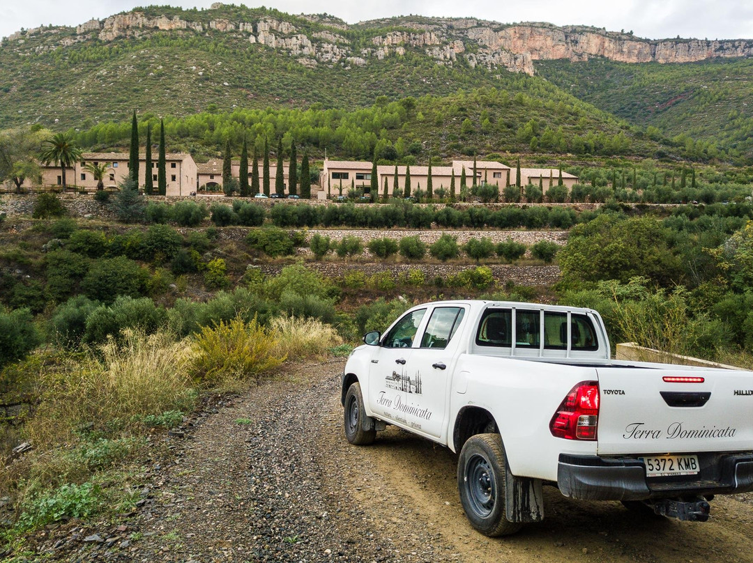 Celler Terra Dominicata - DOQ PRIORAT景点图片