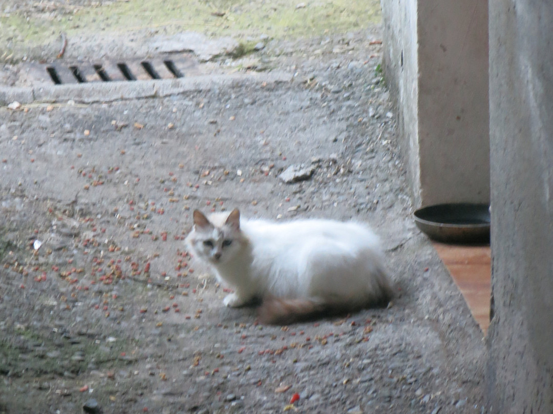 Borgo Medievale di Apella-Licciana Nardi必去景点