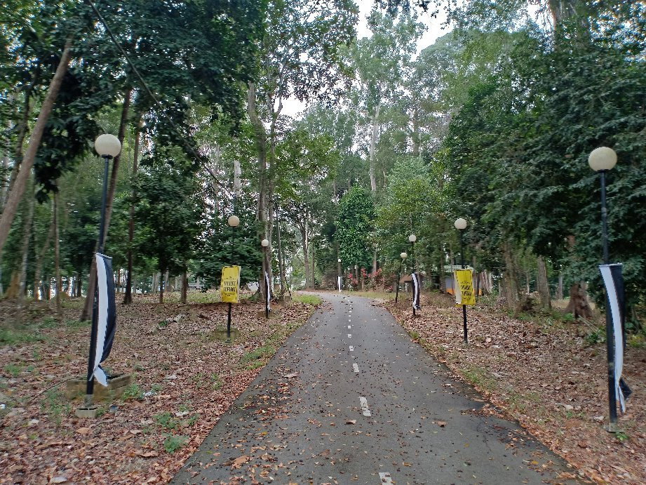 Bera Lake-直凉必去景点