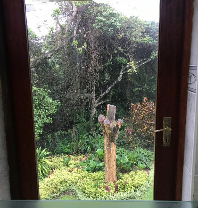 Birds of Paradise B&B主图