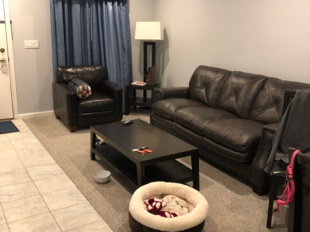 The Village at Pocono主图