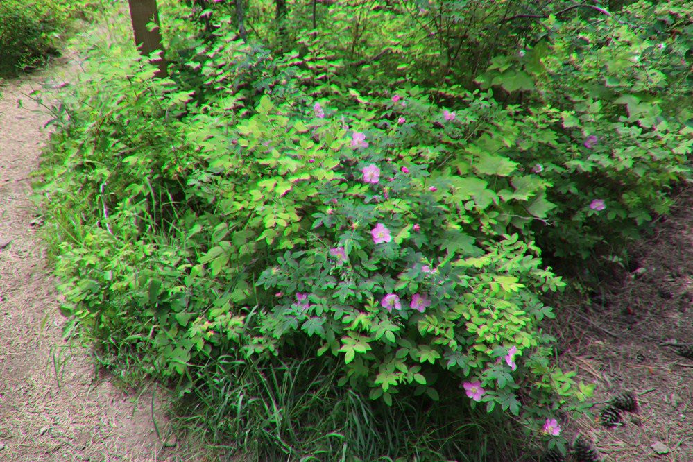 Pattee Canyon-米苏拉必去景点