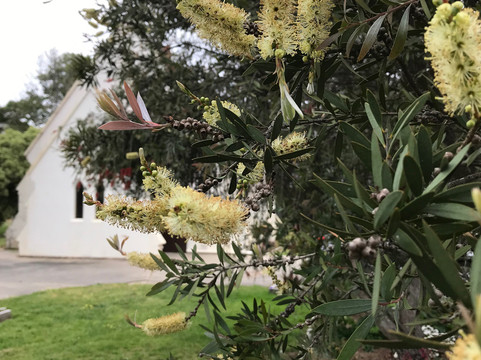 St. Brigid's Catholic Church-Cowwarr必去景点