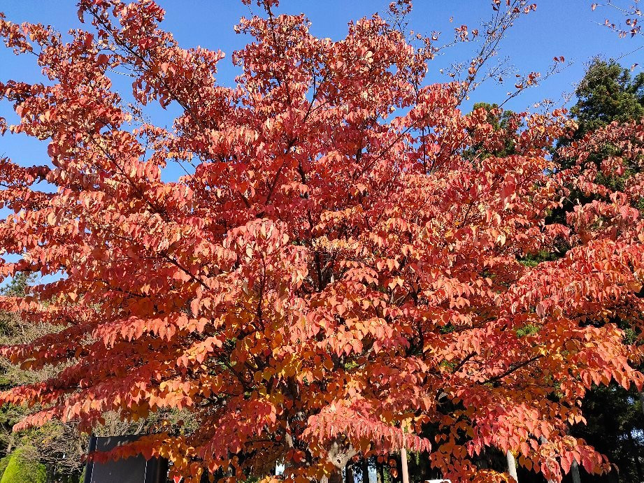 Nasu Yoichi no Sato Michi-no-Eki-太田原市必去景点