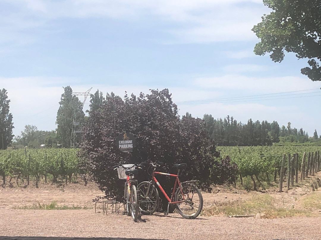 Mr. Hugo Bikes-Maipu必去景点