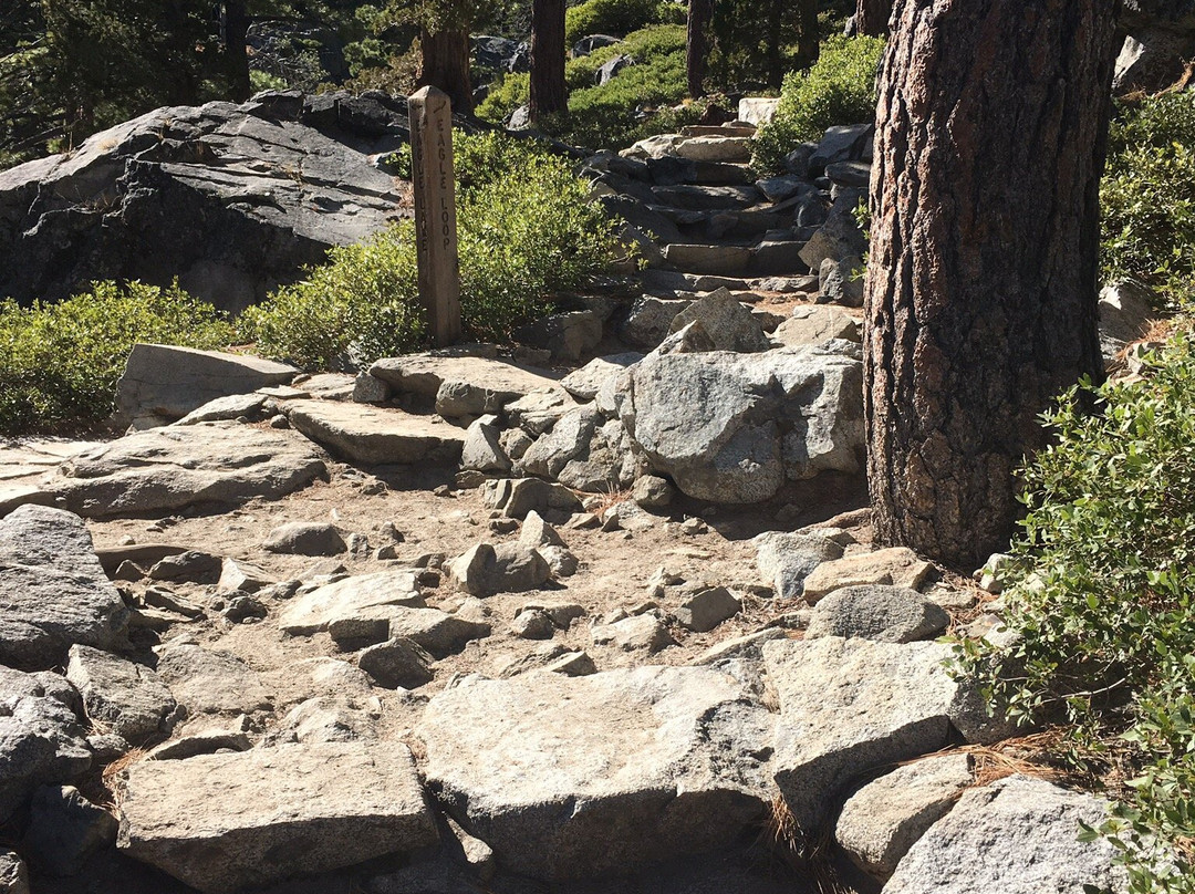 Eagle Falls Trail-塔霍城必去景点