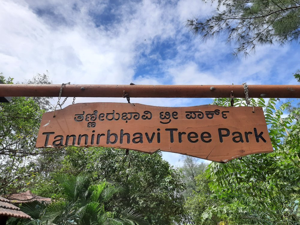 Tannirbhavi Tree Park景点图片