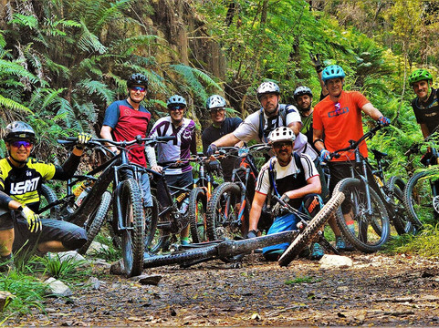 Vivid Bike Co-开普敦中心区必去景点